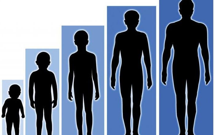 Соотношение роста и веса ребенка 5 лет. Соотношение роста и веса по годам. Средние нормальные показатели для девочек