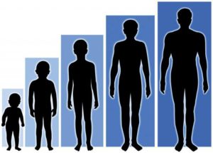 Таблица соответствия роста, веса и возраста у детей